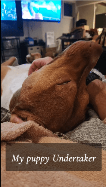 Positivity Tuesday –&nbsp;11/19/24